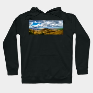 Where the Bison Roam Free Hoodie